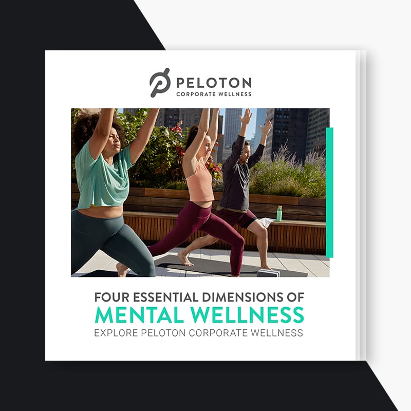 PEL22004_Mental-Health-LandingPage_BrochureCover_800x800